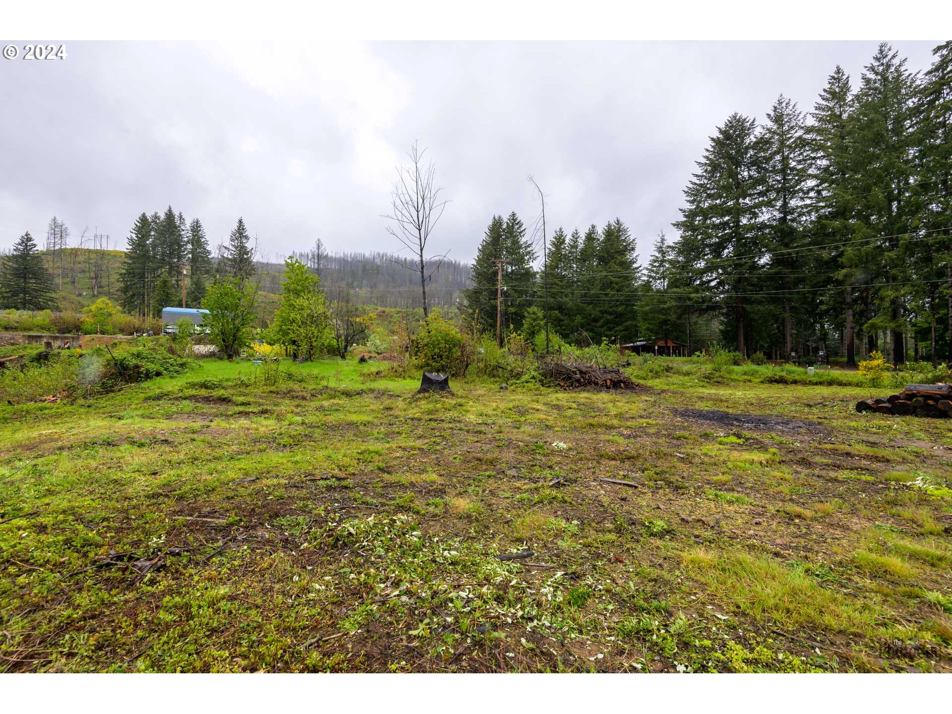 46734 Goodpasture Road Vida, OR 97488 - Photo 8 of 30 Gallery Image 8