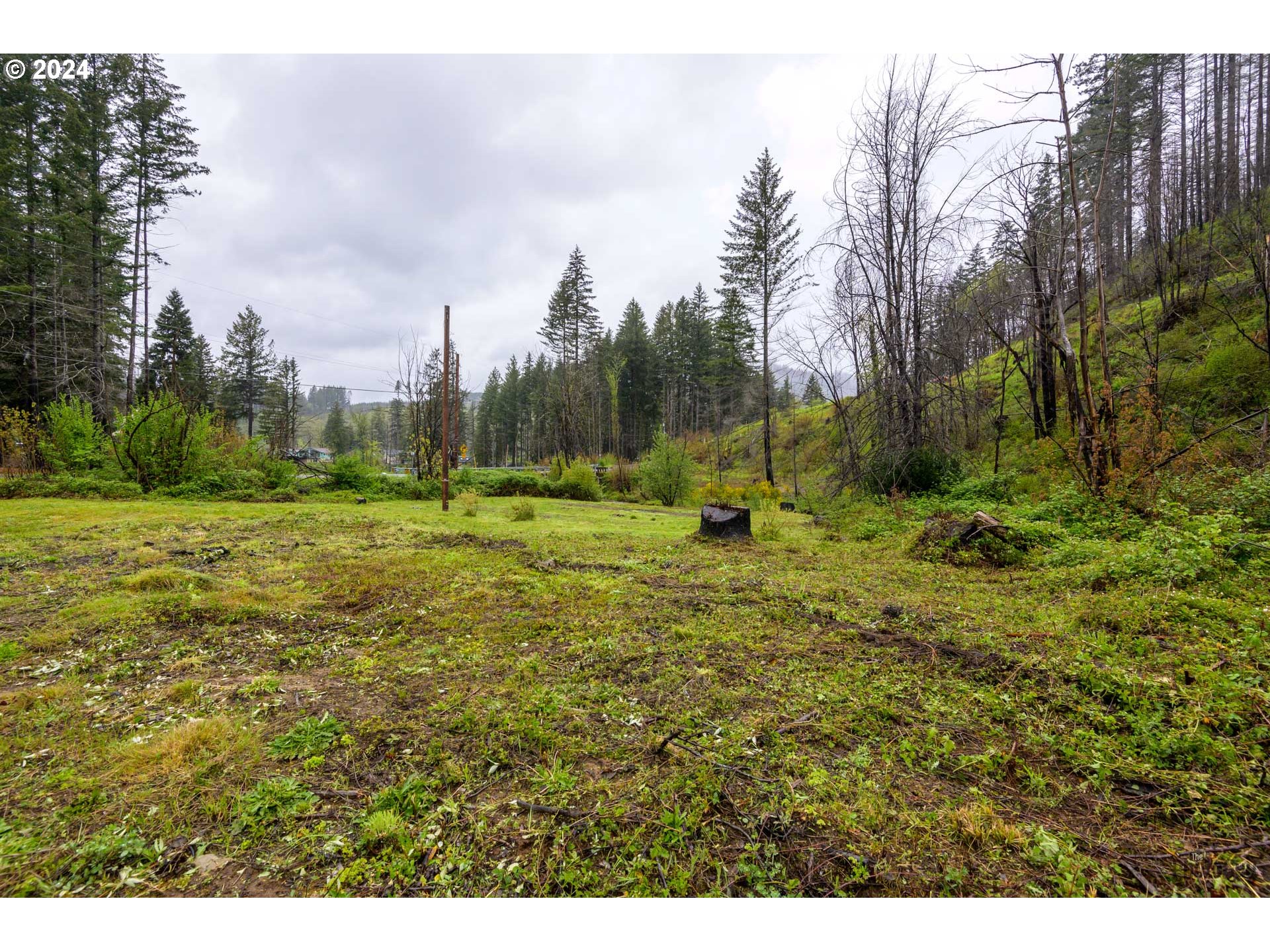 46734 Goodpasture Road Vida, OR 97488 - Photo 10 of 30 Gallery Image 10