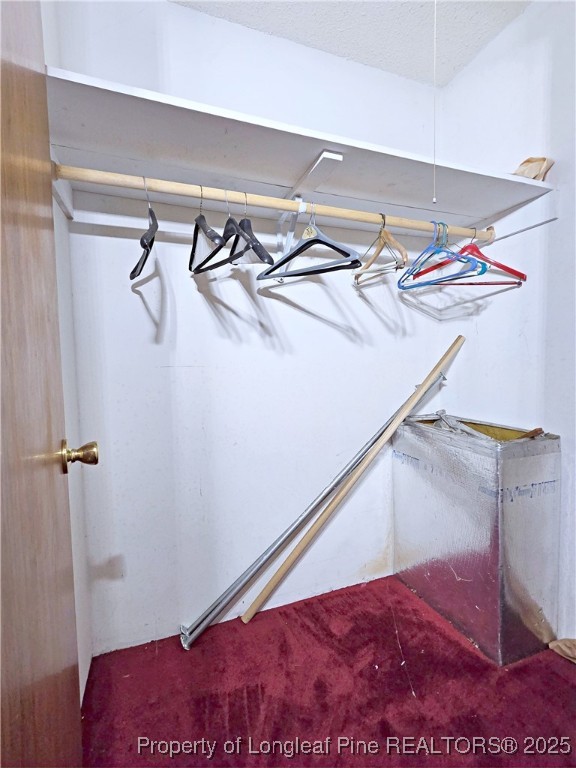 1621 Lobelia Road Vass, NC 28394 - Photo 21 of 50 a view of walk in closet