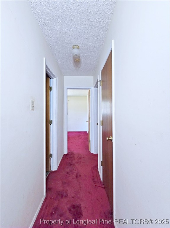 1621 Lobelia Road Vass, NC 28394 - Photo 25 of 50