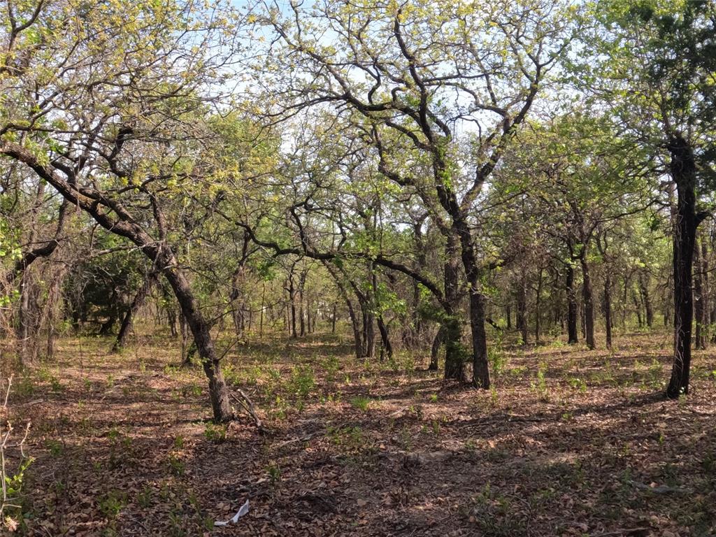 2113 Jeremy Street Tolar, TX 76476 - Photo 2 of 11 a view of backyard with green space