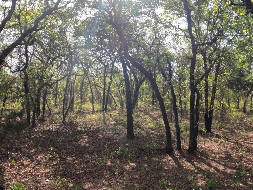 2113 Jeremy Street Tolar, TX 76476 - Photo 3 of 11 a view of forest