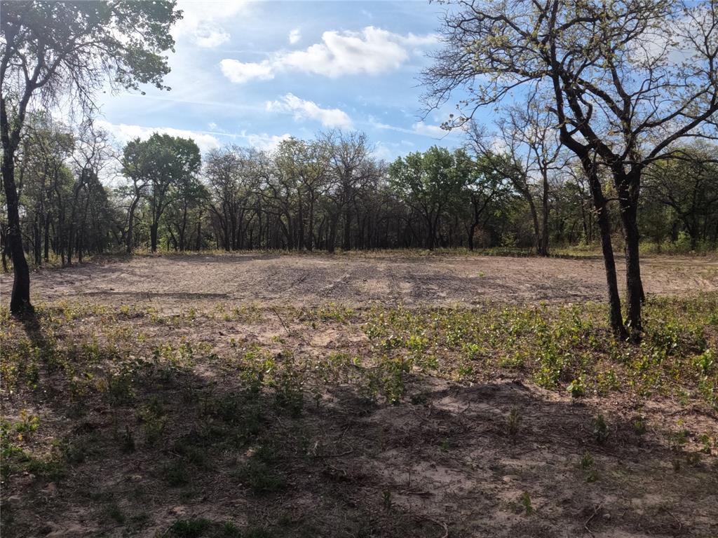 2113 Jeremy Street Tolar, TX 76476 - Photo 5 of 11 a view of dirt yard with a large tree