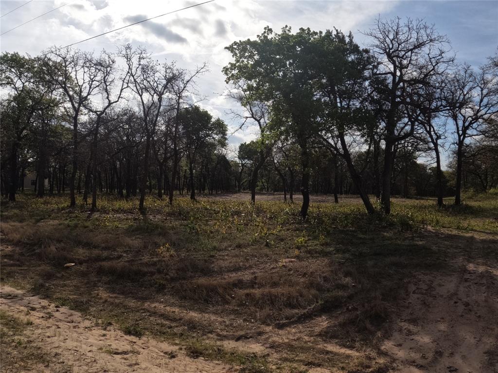 2113 Jeremy Street Tolar, TX 76476 - Photo 7 of 11 a view of outdoor space with trees