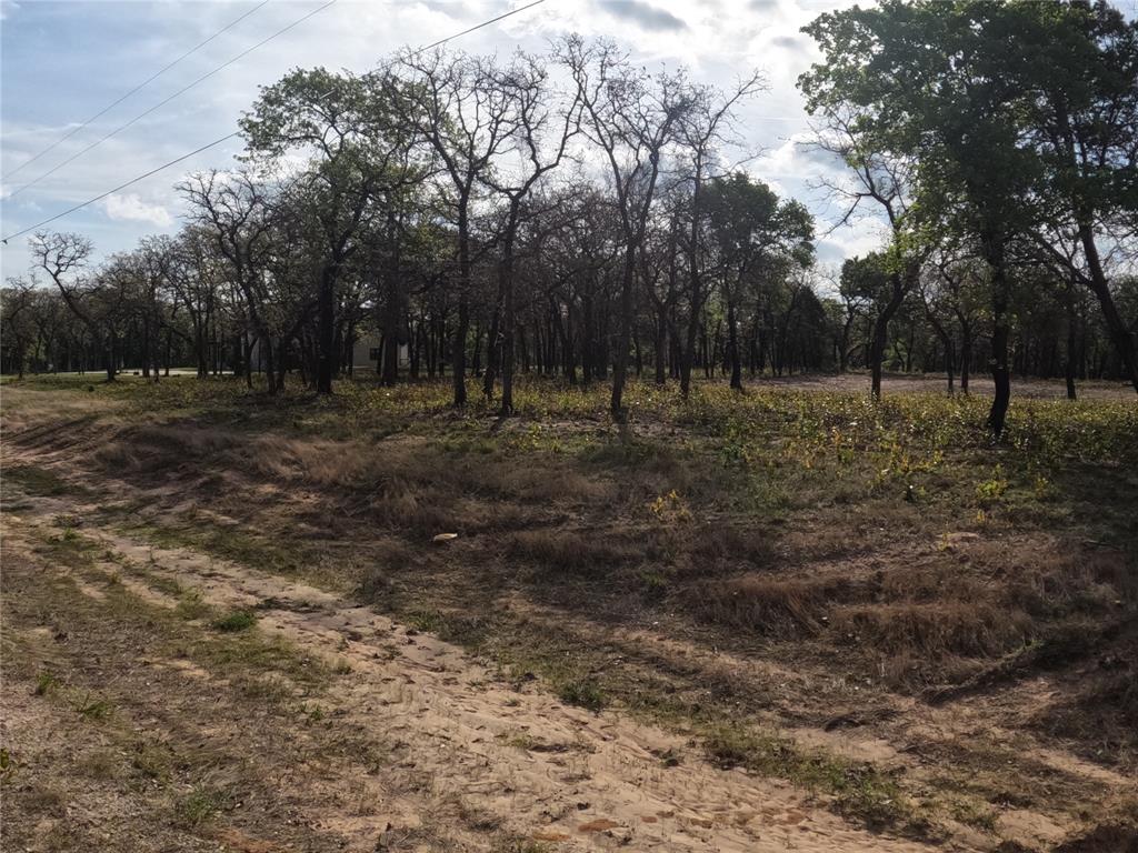 2113 Jeremy Street Tolar, TX 76476 - Photo 8 of 11 a view of a yard with trees