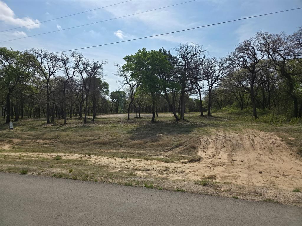 2113 Jeremy Street Tolar, TX 76476 - Photo 9 of 11 a backyard of a house with lots of green space