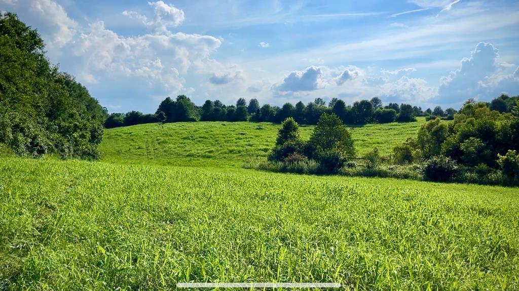 7900 Ecton Road Winchester, KY 40391 - Photo 35 of 44 117379_49