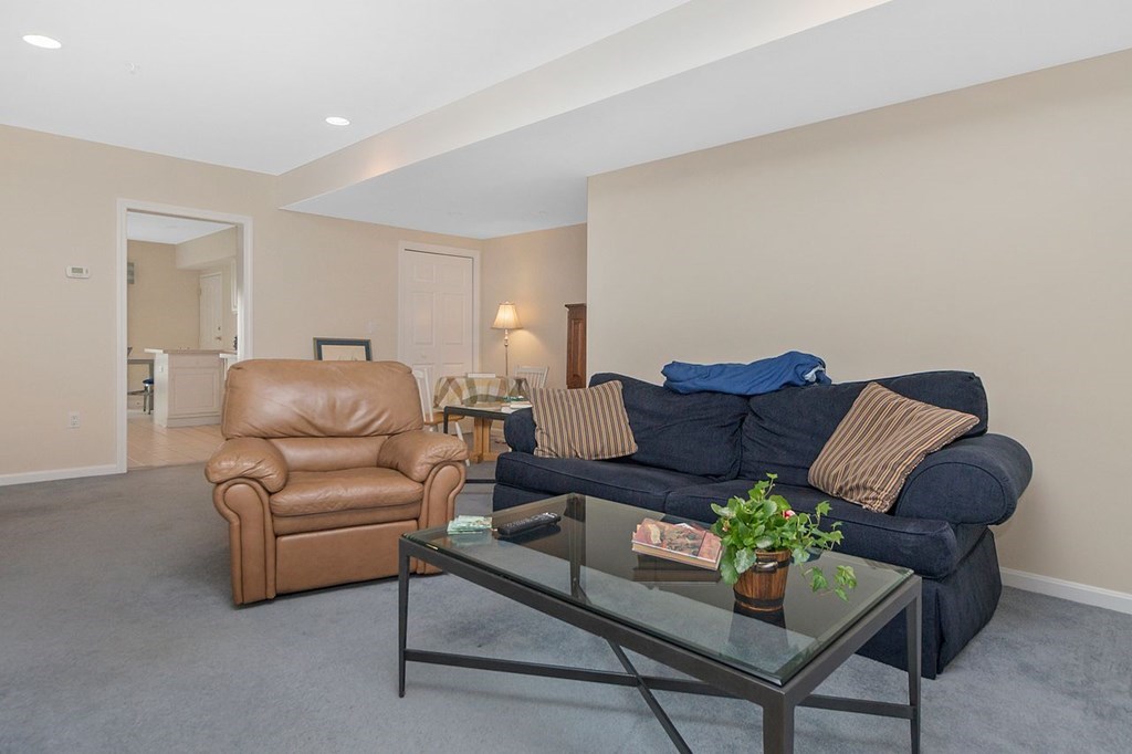 20 Cameron Street, Unit 101 Brookline, MA 02445 - Photo 4 of 15