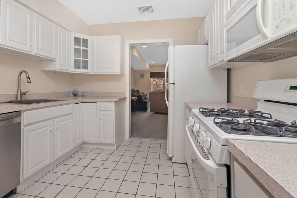 20 Cameron Street, Unit 101 Brookline, MA 02445 - Photo 8 of 15