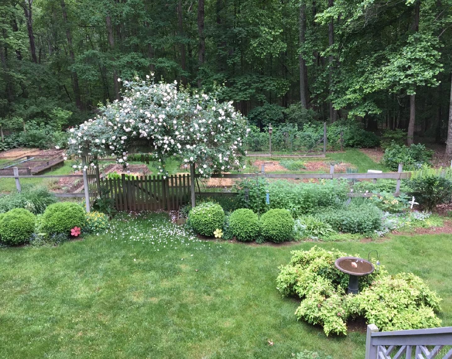 218 Otterview Road Forest, VA 24551 - Photo 60 of 63 Rear yard Garden /landscaping spring pictures