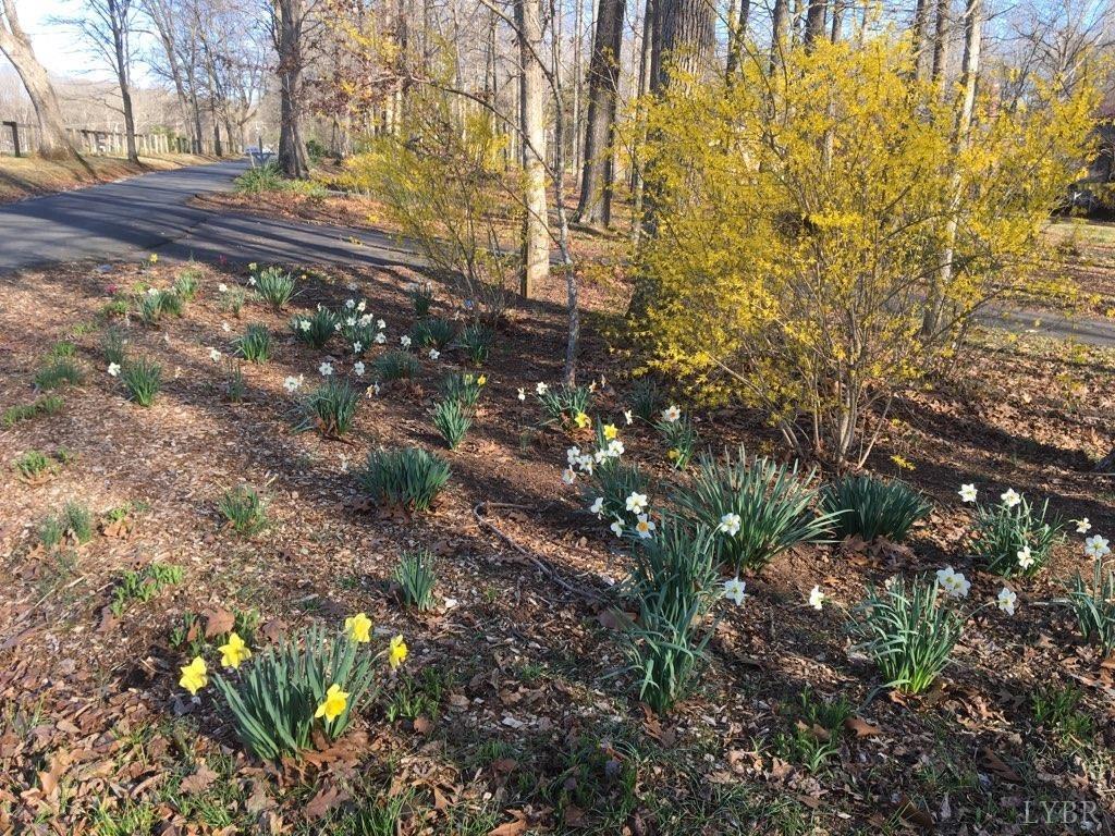 218 Otterview Road Forest, VA 24551 - Photo 61 of 63 a backyard of a house