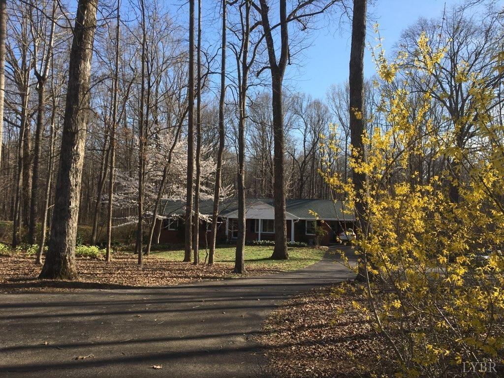 218 Otterview Road Forest, VA 24551 - Photo 62 of 63 Forsythia blooming in spring at top of driveway