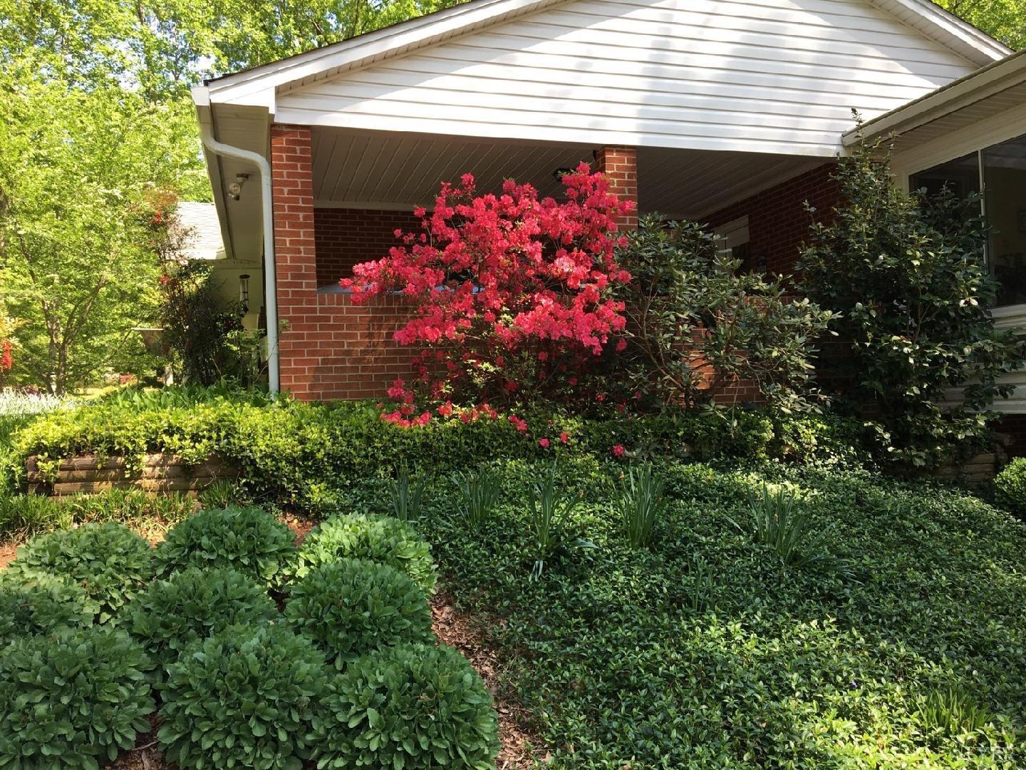 218 Otterview Road Forest, VA 24551 - Photo 63 of 63 Azalea blooming by carport in spring
