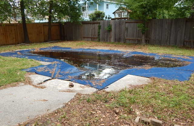 22719 Lemon Grove Drive Spring, TX 77373 - Photo 6 of 6 Pool - condition not known