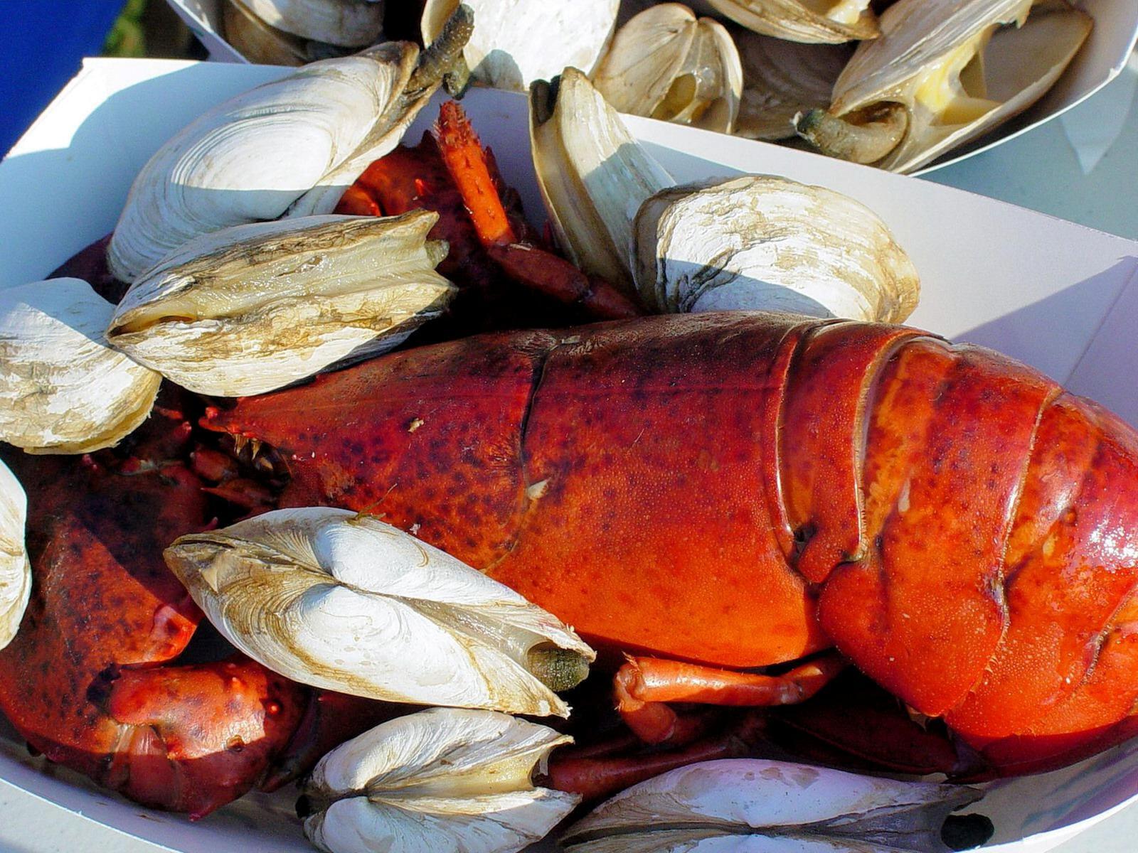 89 Sheaffer Road Centerville, MA 02632 - Photo 54 of 58 lobster .clams pic