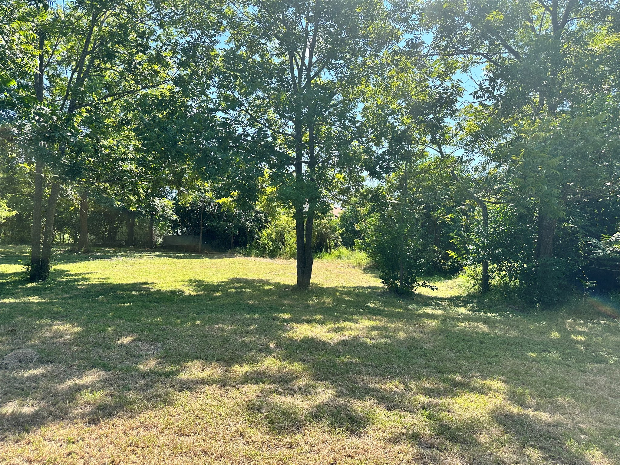 1007 South 18th Street Temple, TX 76501 - Photo 5 of 9 a view of a swimming pool with a yard and large trees
