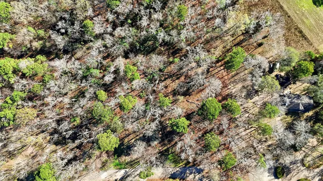 a view of a large building with an ocean view