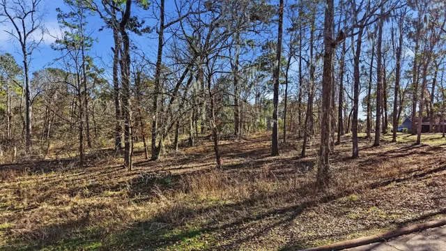 a view of a backyard of the house