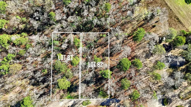 a view of a city with lush green forest