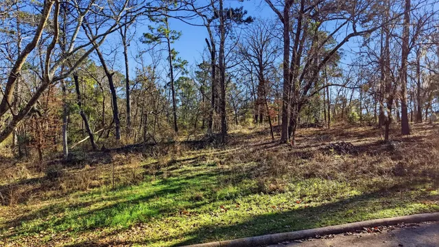 a view of backyard with large trees