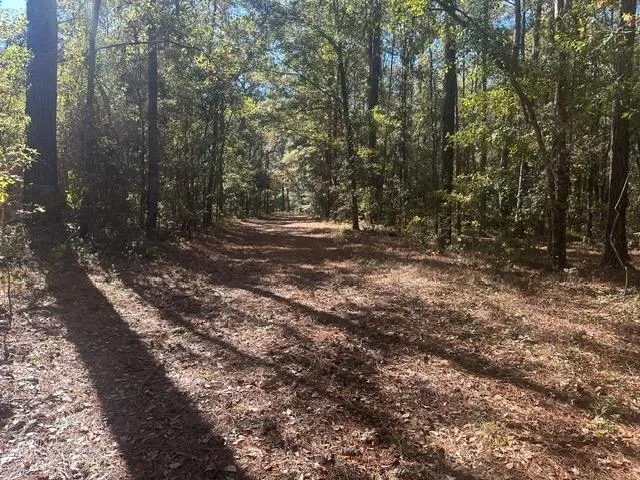 $225,000 | 15196 Casland Trail, Tallahassee, FL 32309