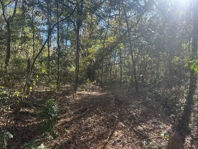 $225,000 | 15196 Casland Trail, Tallahassee, FL 32309