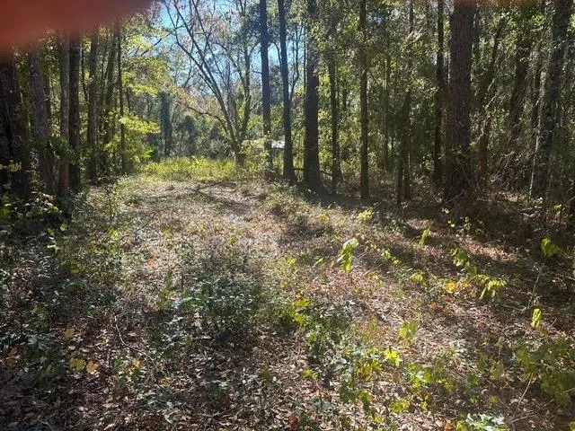 $225,000 | 15196 Casland Trail, Tallahassee, FL 32309