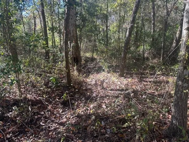 $225,000 | 15196 Casland Trail, Tallahassee, FL 32309