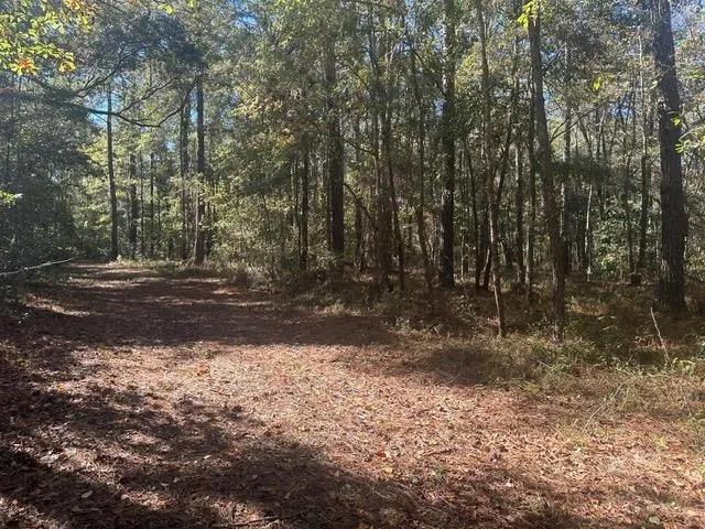 $225,000 | 15196 Casland Trail, Tallahassee, FL 32309