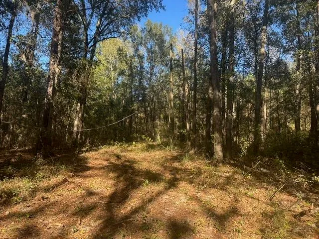 $225,000 | 15196 Casland Trail, Tallahassee, FL 32309