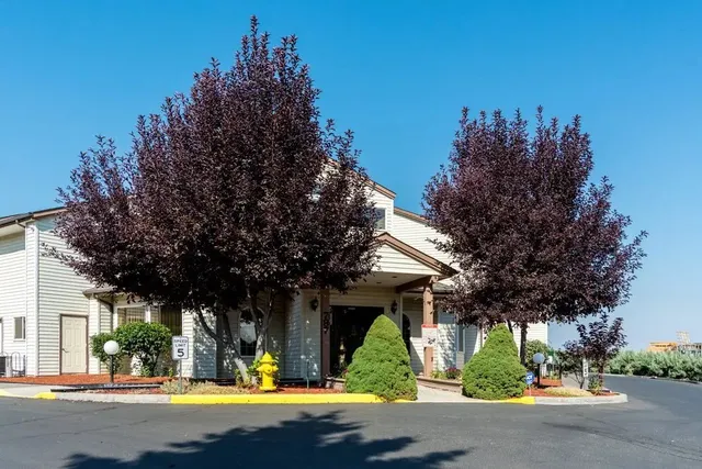 a view of outdoor space yard and tree