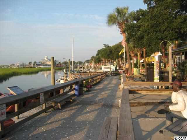 Lot 70 Palm Bay Drive Murrells Inlet, SC 29576 - Photo 11 of 15 Gallery Image 11