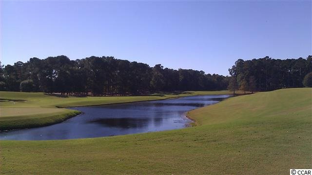 Lot 70 Palm Bay Drive Murrells Inlet, SC 29576 - Photo 10 of 15 Gallery Image 10