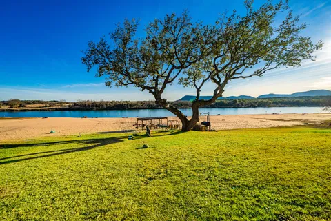 a view of an ocean from a yard