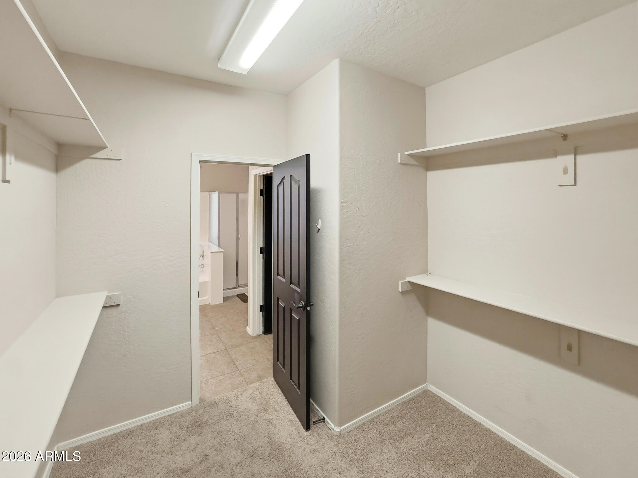 2925 East Andre Avenue Gilbert, AZ 85298 - Photo 8 of 26 primary closet