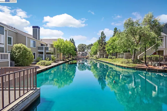 a view of a lake with a garden