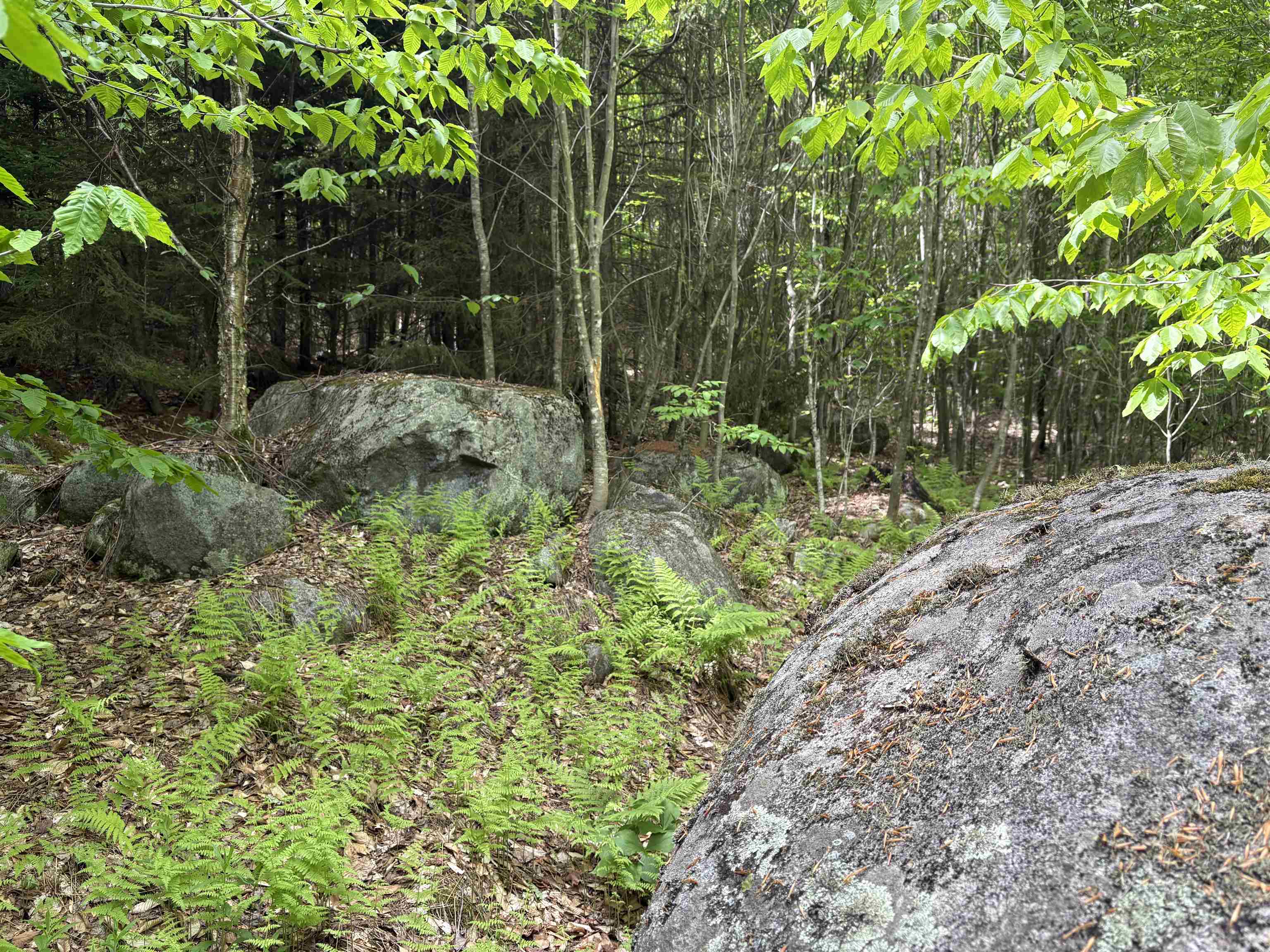 0 Old Pond Hill Road Lunenburg, VT 05906 - Photo 25 of 60 Gallery Image 25
