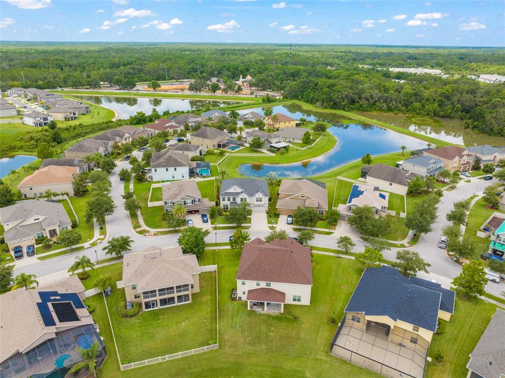 10720 Breaking Rocks Drive Tampa, FL 33647 - Photo 67 of 79