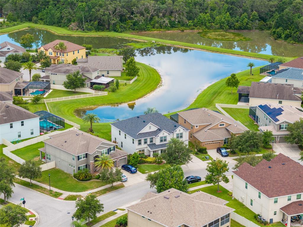 10720 Breaking Rocks Drive Tampa, FL 33647 - Photo 69 of 79