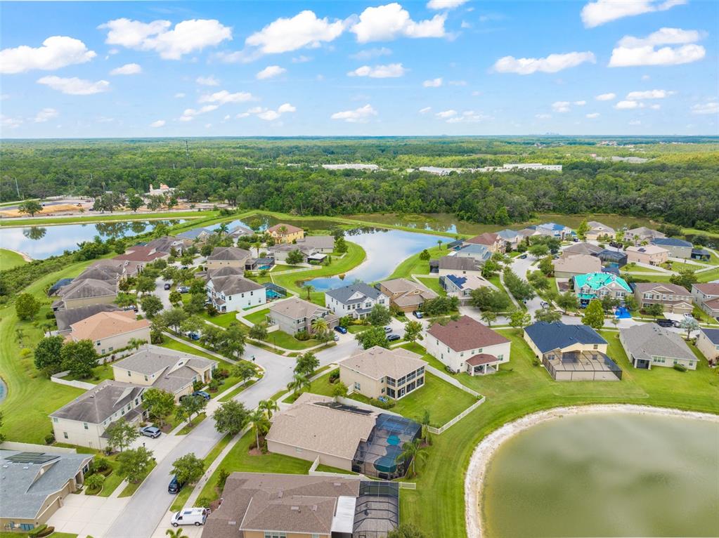 10720 Breaking Rocks Drive Tampa, FL 33647 - Photo 70 of 79