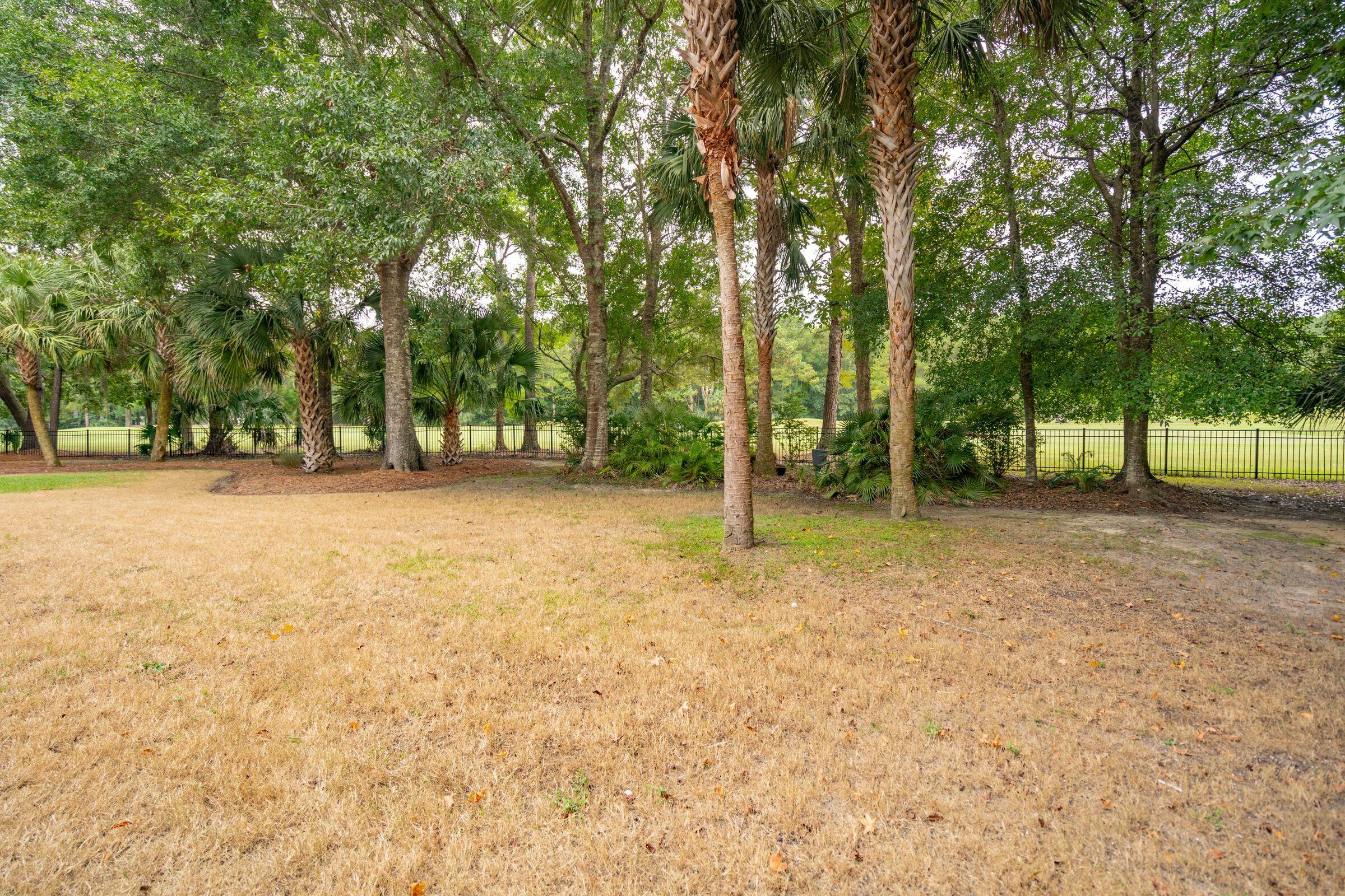 3902 Colonel Vanderhorst Circle Mount Pleasant, SC 29466 - Photo 69 of 90 Back Yard
