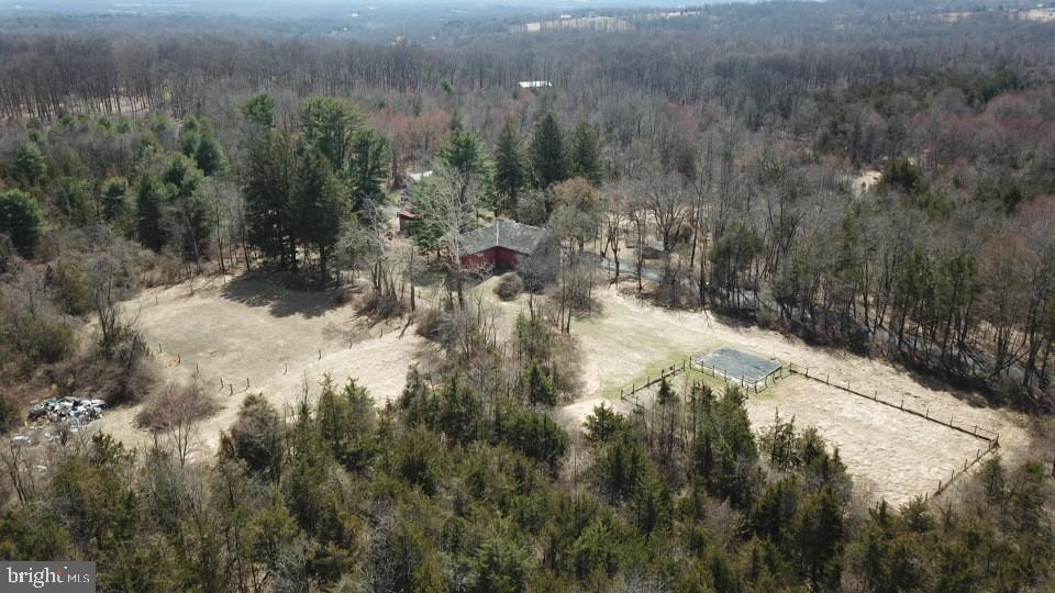 432 Quarry Road Ottsville, PA 18942 - Photo 28 of 29 a view of a yard