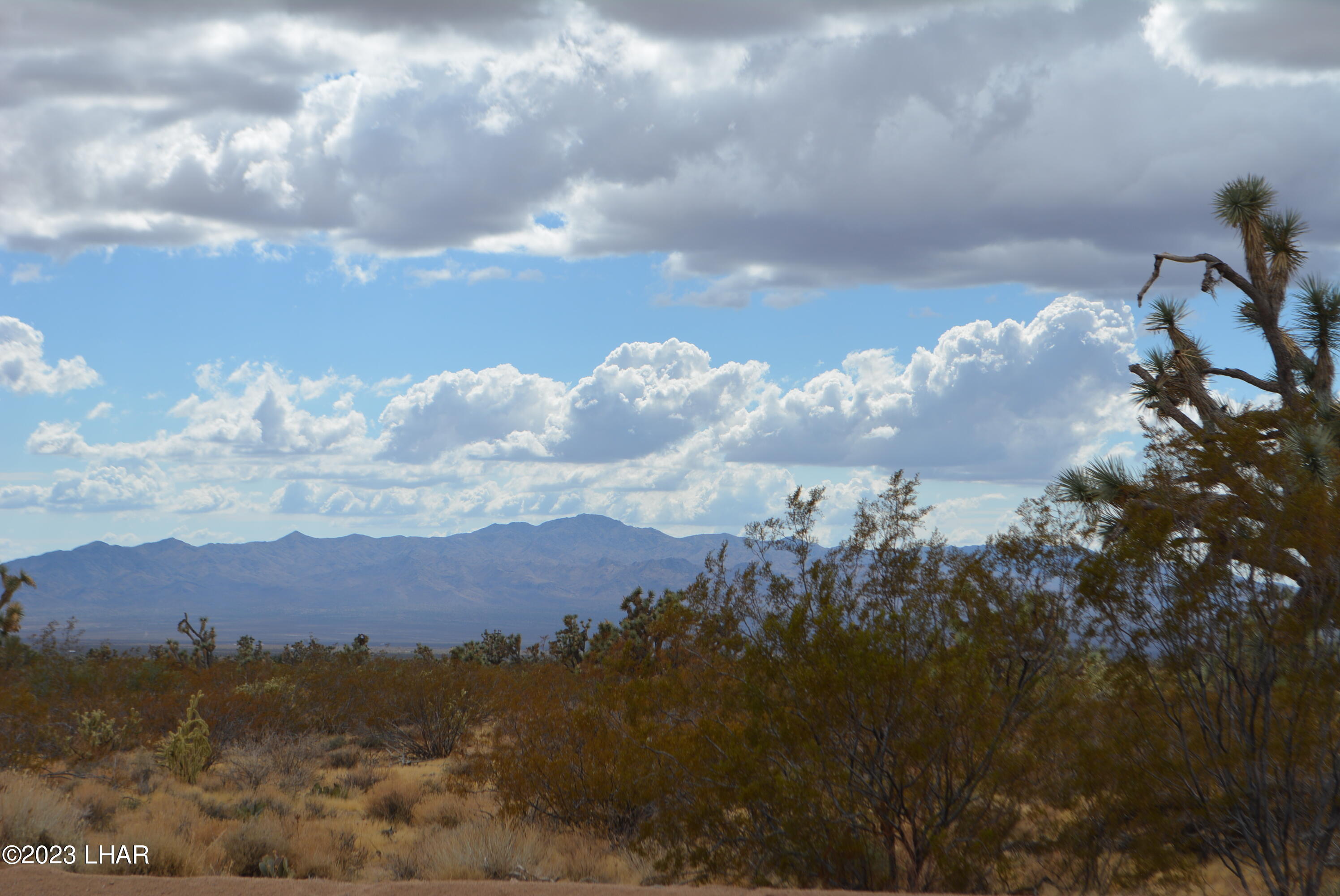 2652 South Diamondback Road Yucca, AZ 86438 - Photo 11 of 36 DSC_0273