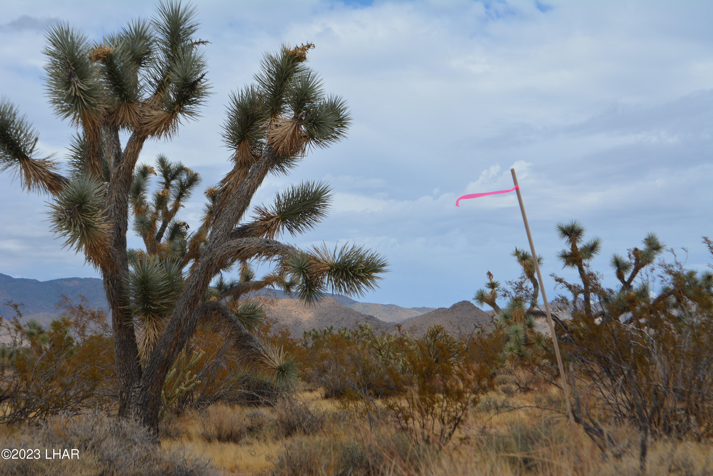 2652 South Diamondback Road Yucca, AZ 86438 - Photo 12 of 36 DSC_0274