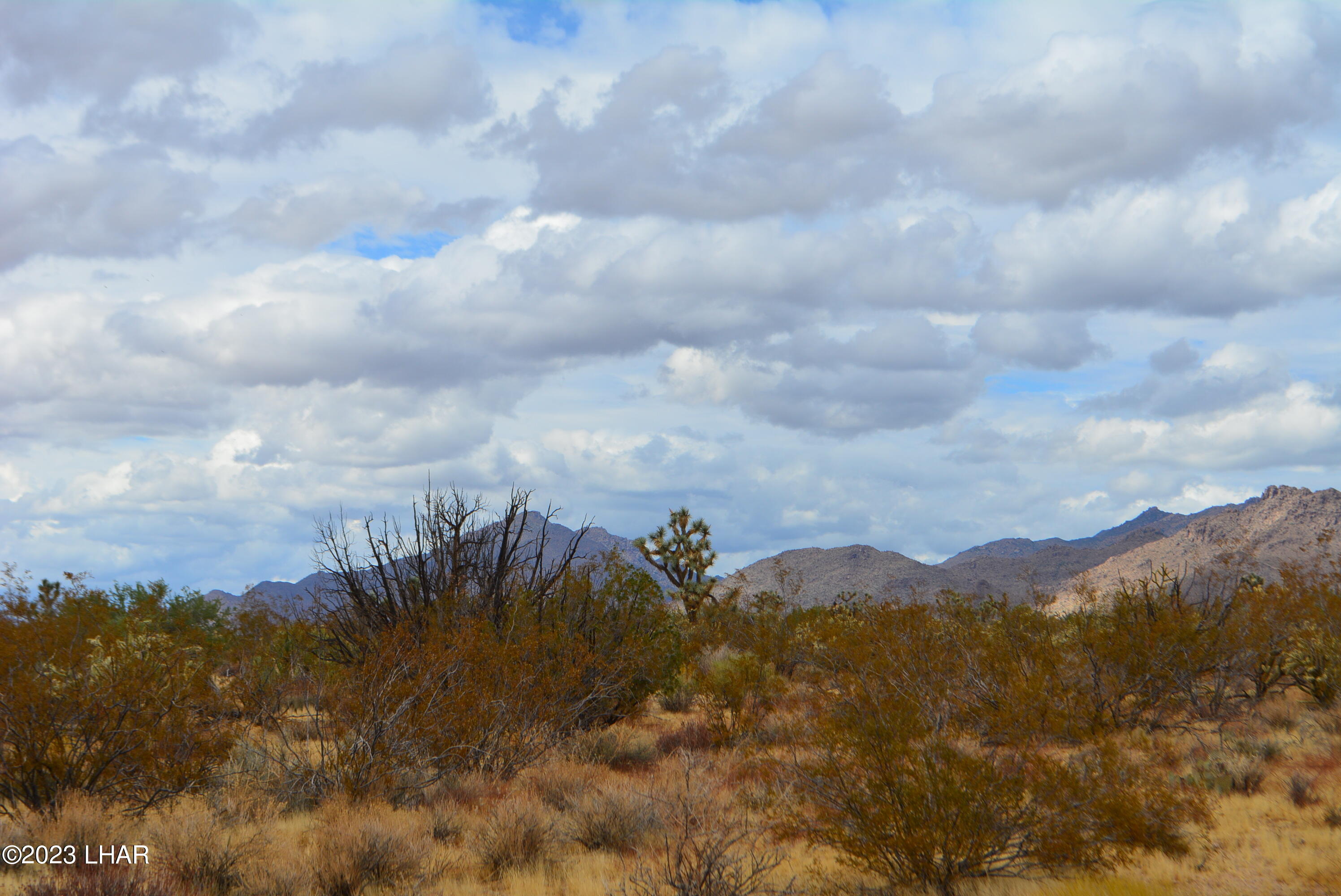 2652 South Diamondback Road Yucca, AZ 86438 - Photo 13 of 36 DSC_0275