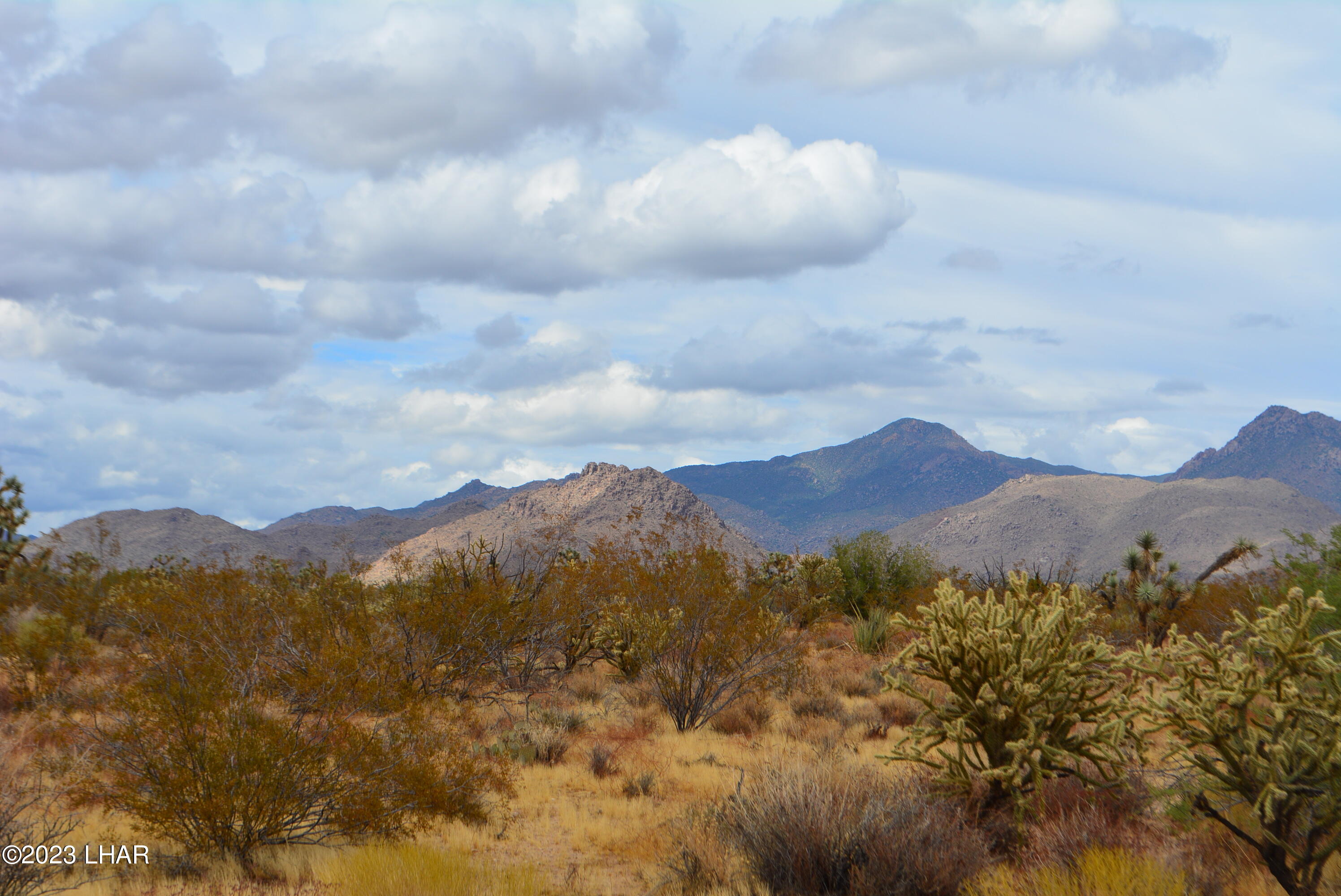 2652 South Diamondback Road Yucca, AZ 86438 - Photo 14 of 36 DSC_0276