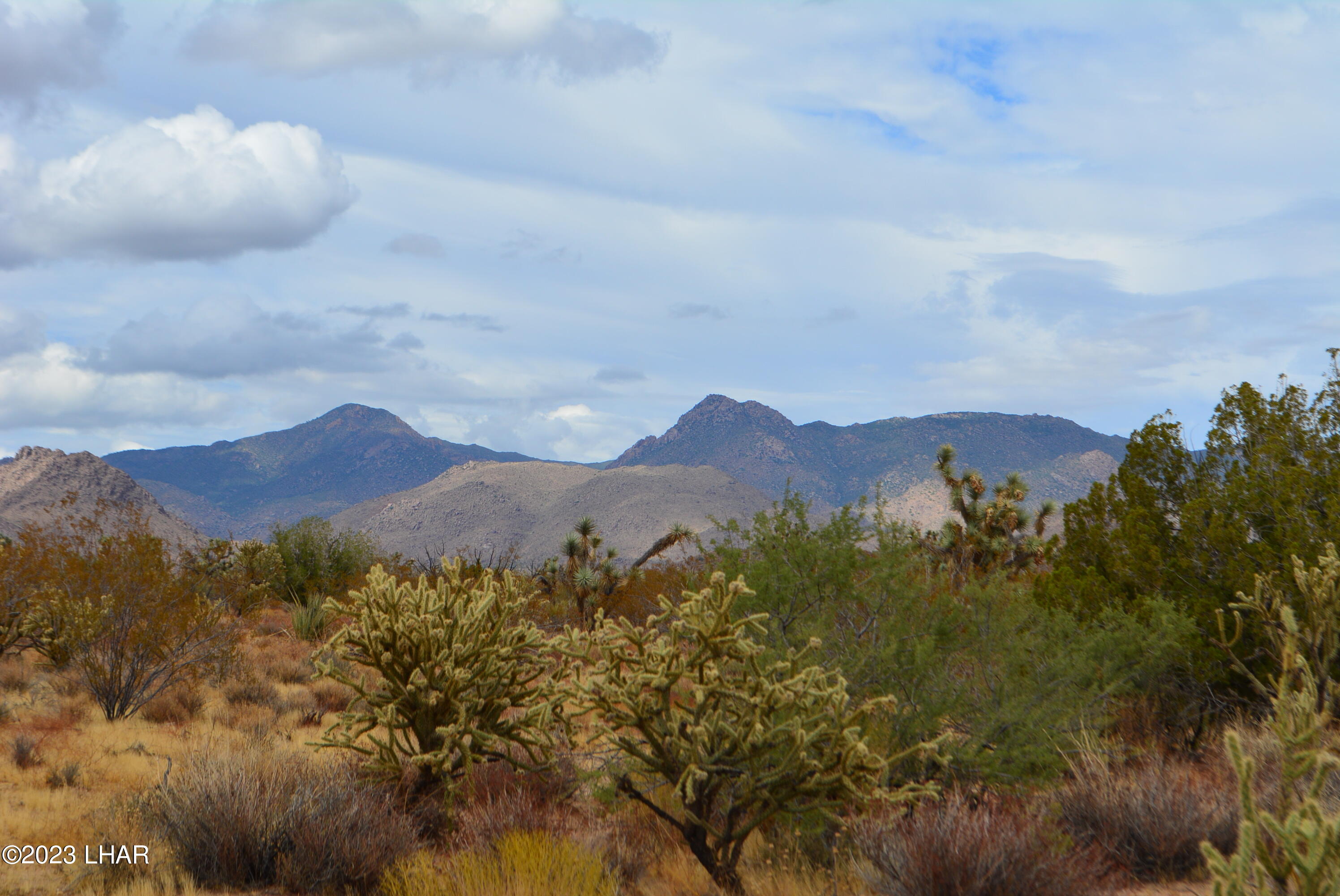 2652 South Diamondback Road Yucca, AZ 86438 - Photo 15 of 36 DSC_0277