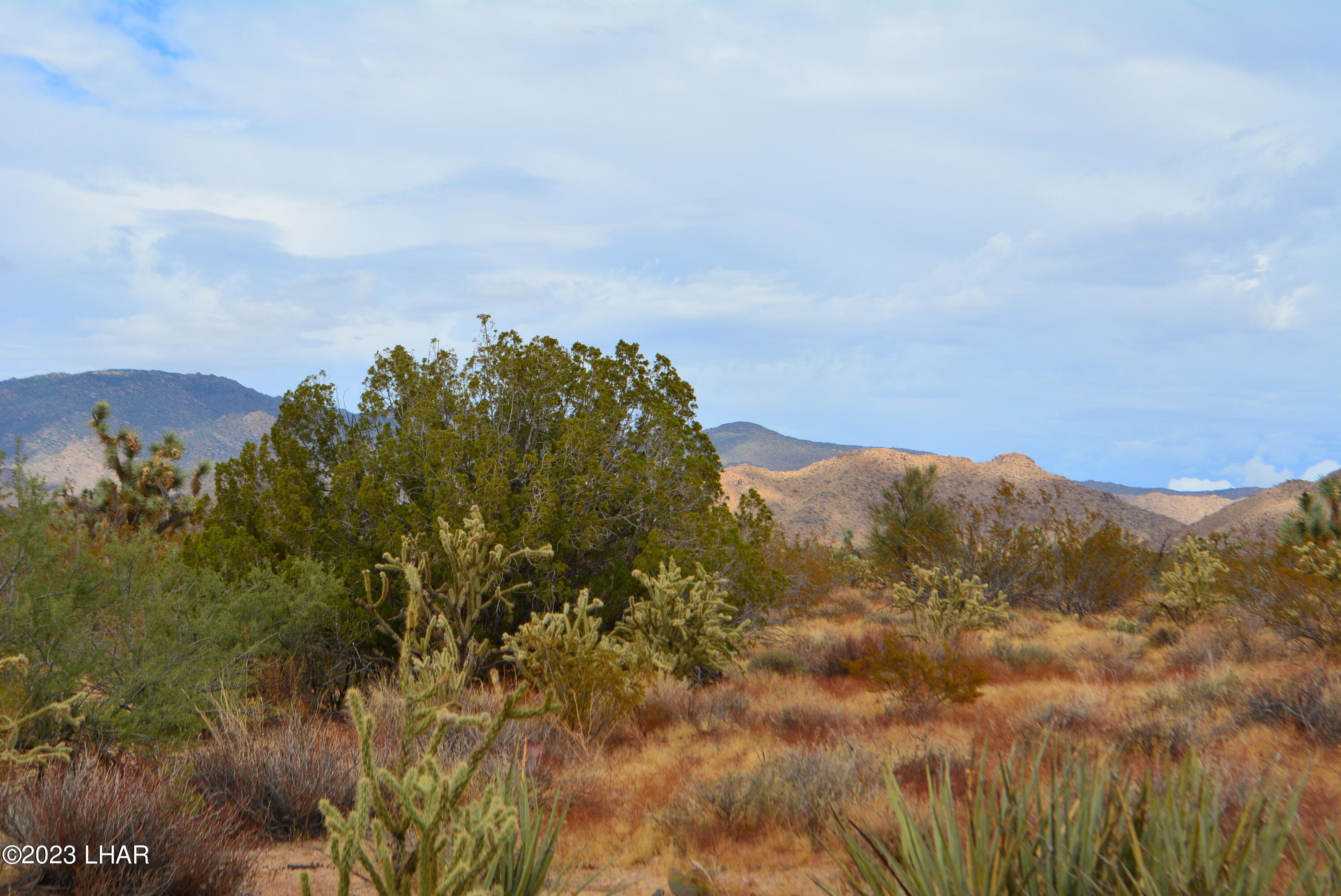 2652 South Diamondback Road Yucca, AZ 86438 - Photo 16 of 36 DSC_0278