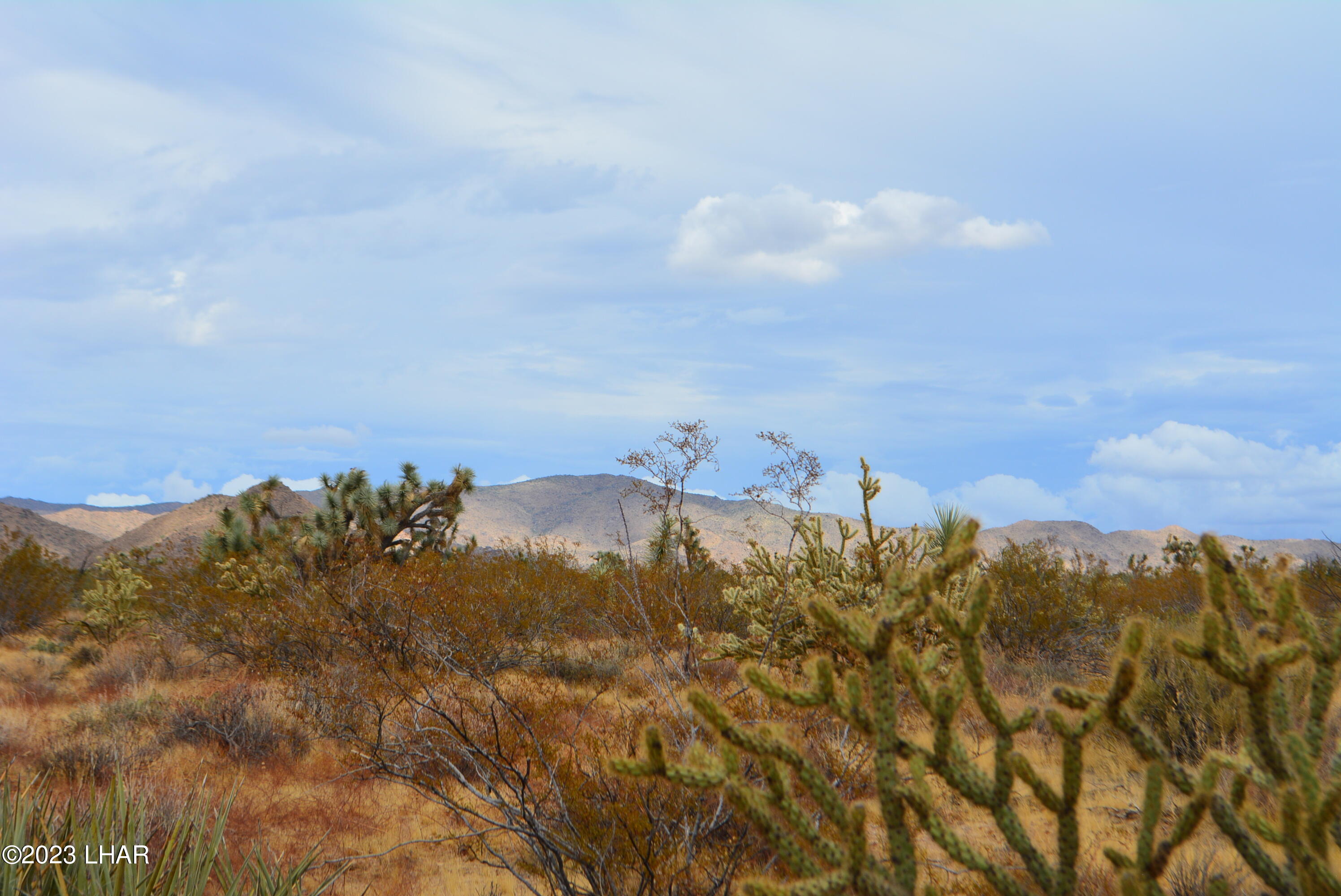 2652 South Diamondback Road Yucca, AZ 86438 - Photo 17 of 36 DSC_0279