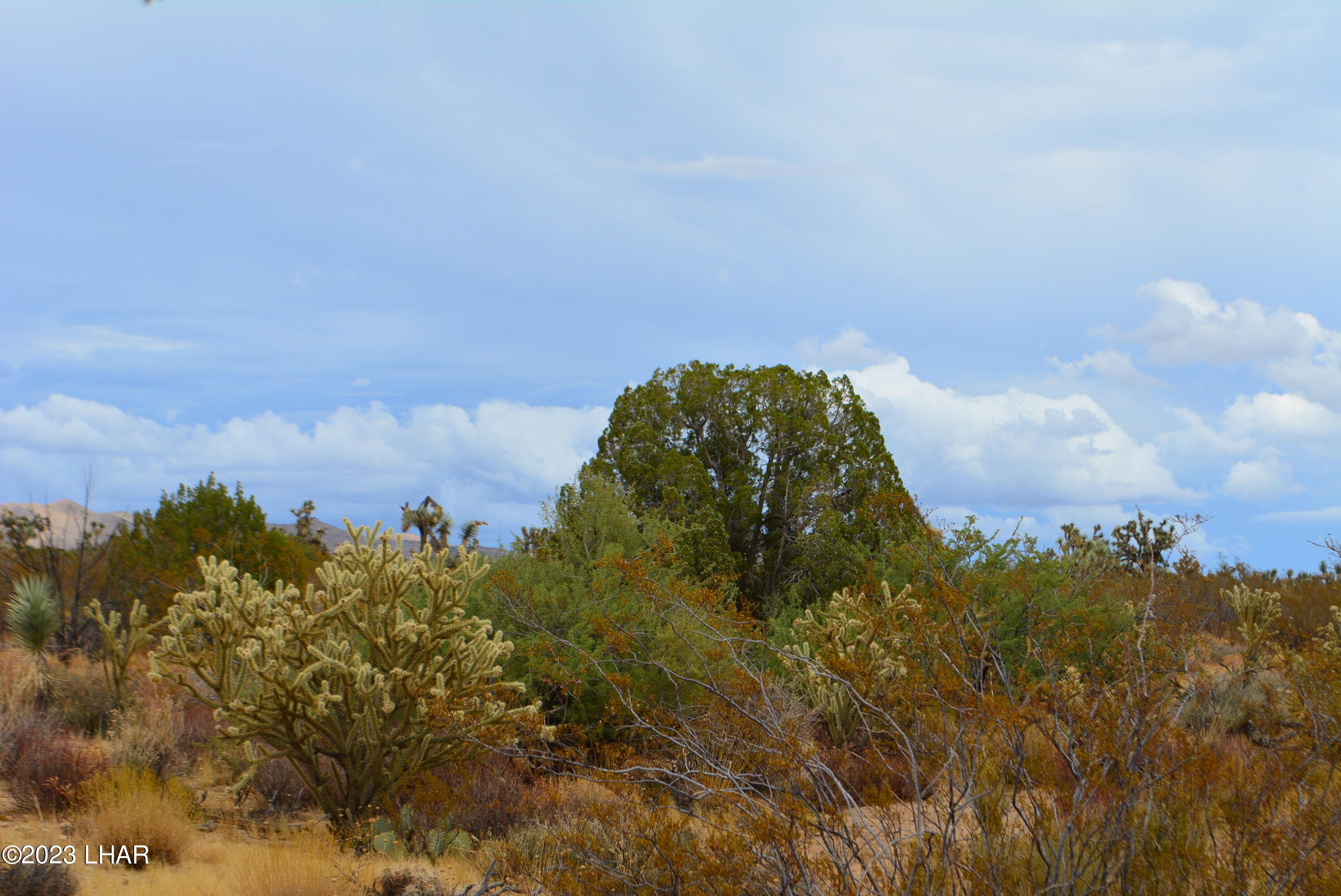 2652 South Diamondback Road Yucca, AZ 86438 - Photo 18 of 36 DSC_0280